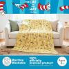 Thomas and Friends Kids Bedding Super Soft Micro Raschel Throw, 46 in x 60 in, (Official Licensed Product) by Franco(Green Eggs & Ham)