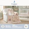 Thomas and Friends Kids Bedding Super Soft Micro Raschel Throw, 46 in x 60 in, (Official Licensed Product) by Franco(Peter Rabbit & Friends)