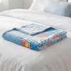 Thomas and Friends Kids Bedding Super Soft Micro Raschel Throw, 46 in x 60 in, (Official Licensed Product) by Franco(Peter Rabbit Favorite Stories)