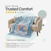 Thomas and Friends Kids Bedding Super Soft Micro Raschel Throw, 46 in x 60 in, (Official Licensed Product) by Franco(Peter Rabbit Favorite Stories)