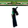 Thomas & Friends Percy Engine Train Kids Bedding Super Soft Plush Cuddle Pillow Buddy, (Officially Licensed Product) by Franco(Wicked – Elphaba the Wicked Witch)