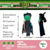 Thomas & Friends Percy Engine Train Kids Bedding Super Soft Plush Cuddle Pillow Buddy, (Officially Licensed Product) by Franco(Wicked – Elphaba the Wicked Witch)